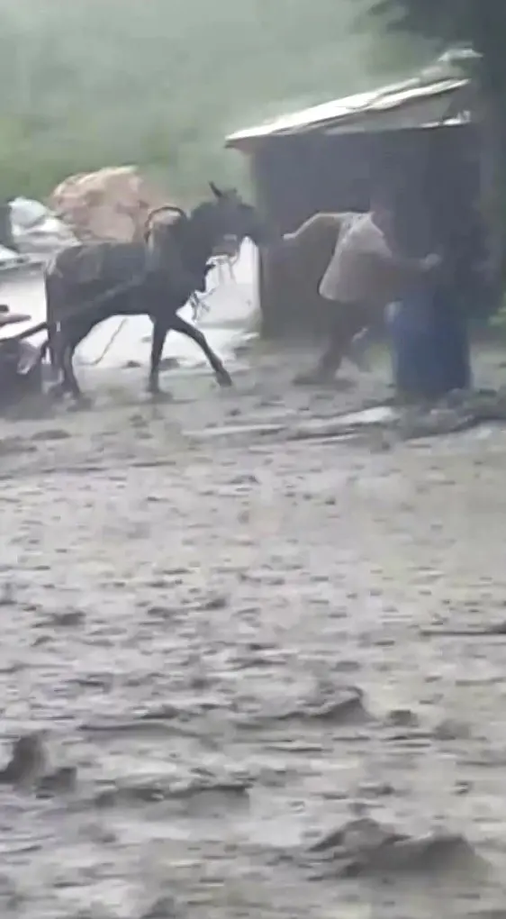 Şiddetli yağmur, turistik ilçe Sapanca’yı sular altında bıraktı