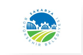 büyük şehir logo