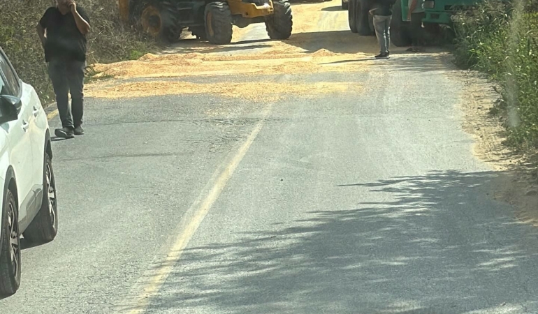 KAMYONUN KAPAĞI AÇILDI YOL MISIR TARLASINA DÖNDÜ