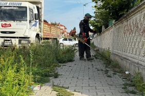 thumbnail_ERENLER’DE PARK VE BAHÇELERDE ÇALIŞMALAR SÜRÜYOR (2)