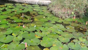 Sakaryalı İş İnsanları; Tayland’ın renkli Şehri Pattaya’da buluştu