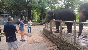 Sakaryalı İş İnsanları; Tayland’ın renkli Şehri Pattaya’da buluştu