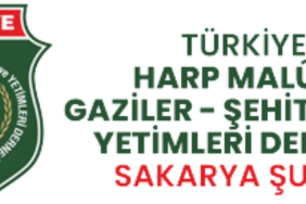 HARP MALÜLÜ GAZİLER-ŞEHİT DUL VE YETİMLERİ DERNEĞİ logo