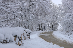 Kartpostal tadında bir gün: Beyaz rüya Sakarya’ya çok yakıştı