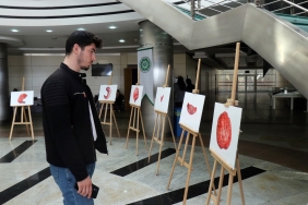 ORGANLARI SANAT ESERİNE DÖNÜŞTÜRÜYOR CANLI DOKULARDAN OLUŞTURDUĞU FOTOĞRAF SERGİSİNİ TIP BAYRAMI'NDA SAKARYA'DA AÇTI